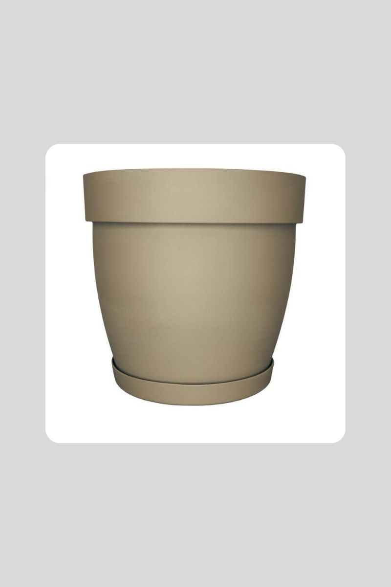 1 No Cornet Saksı 12 Lt Aly906