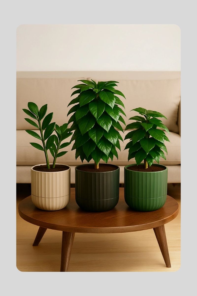 2 No Zeraf Saksı K262