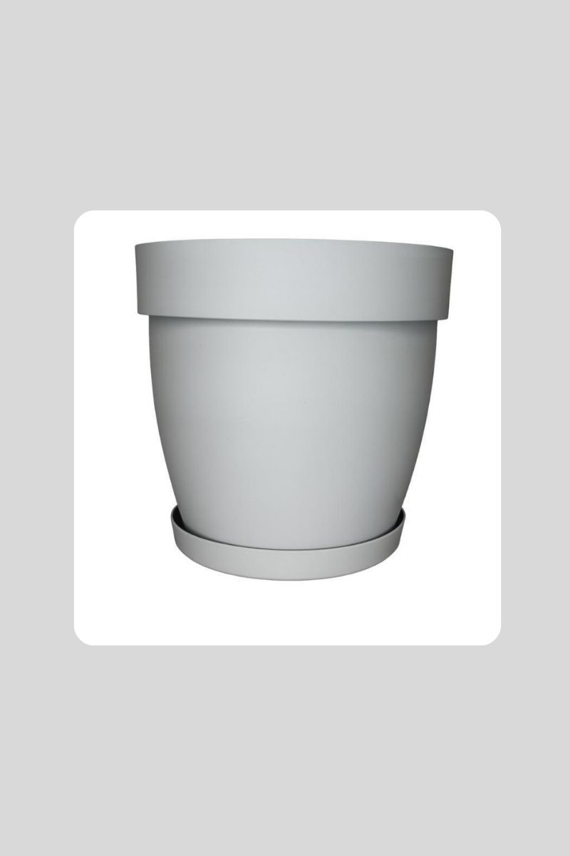 4 No Cornet Saksı 85 Lt Aly909