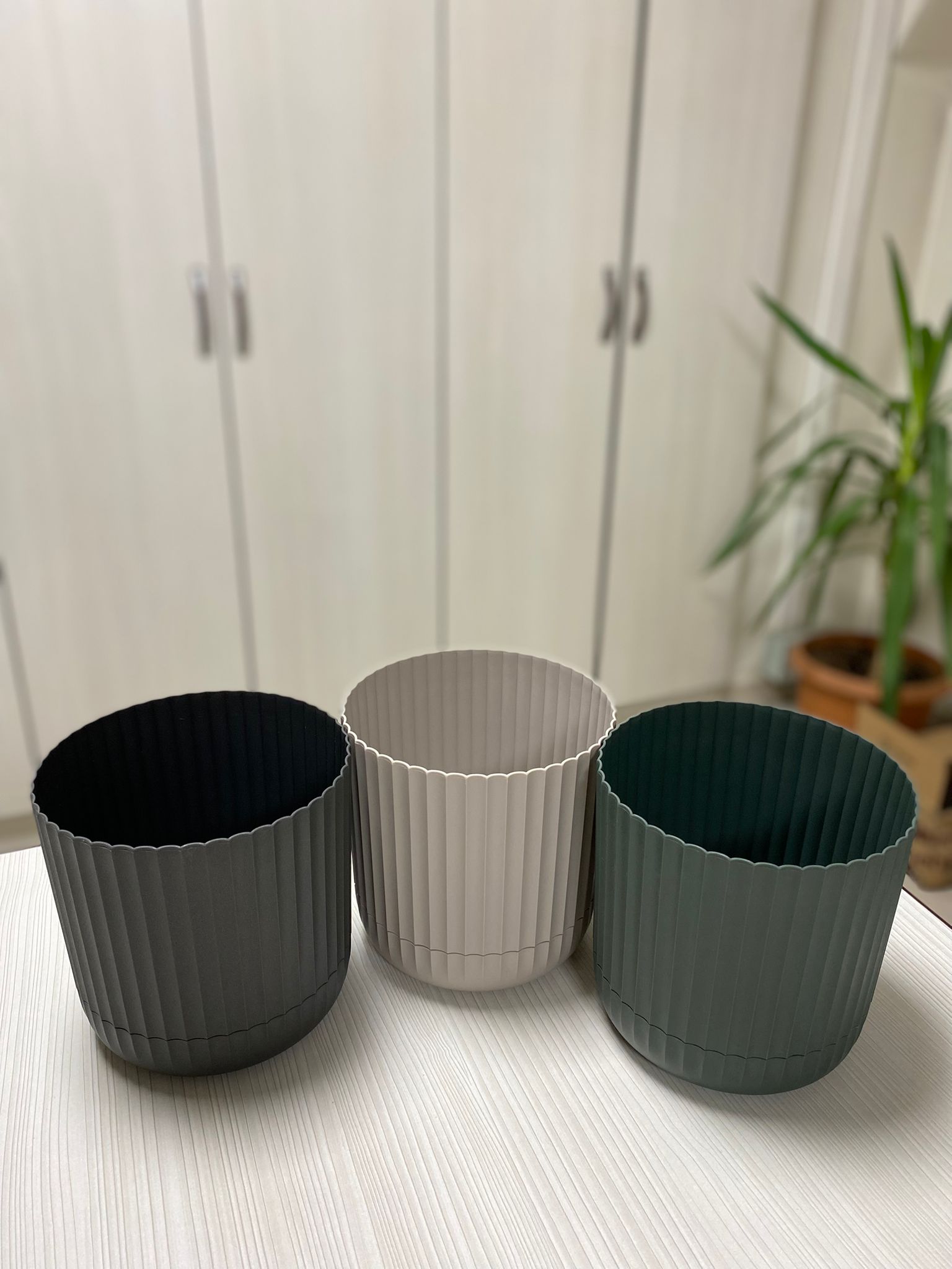 4 No Zeraf Saksı K264