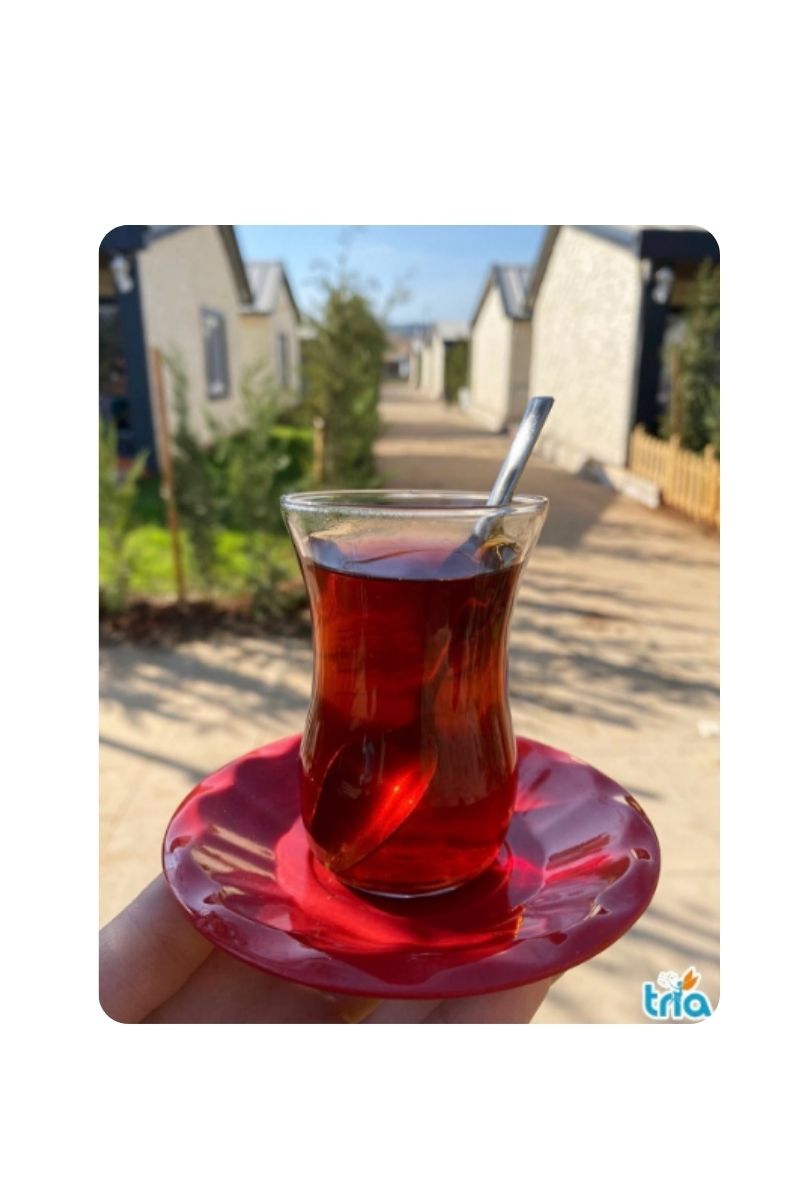 Çay Tabağı Porelin Kırmızı Tr304R