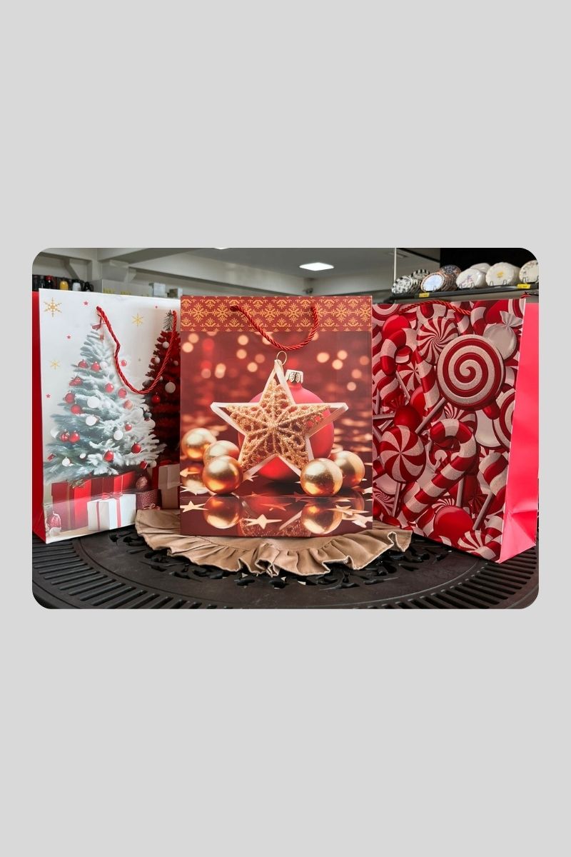 Hediye Çantası Büyük 77168