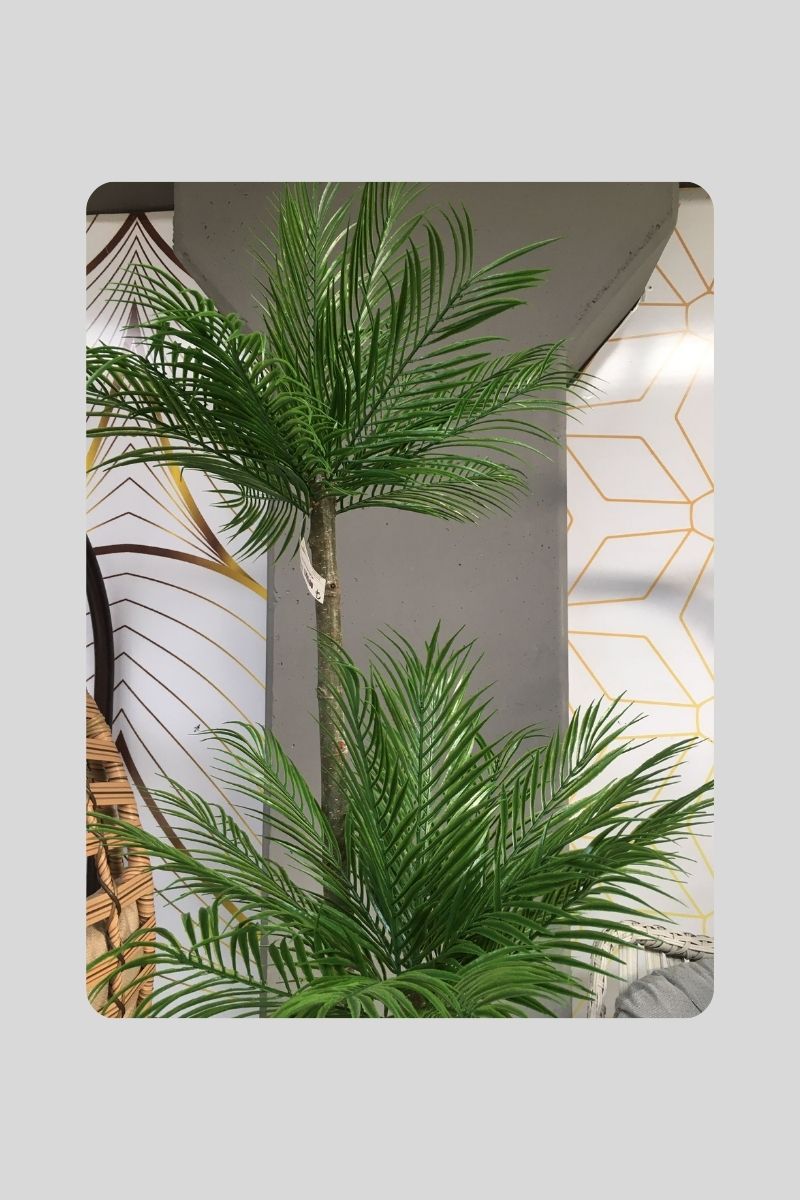 Yapay Areka Ağacı 180 Cm