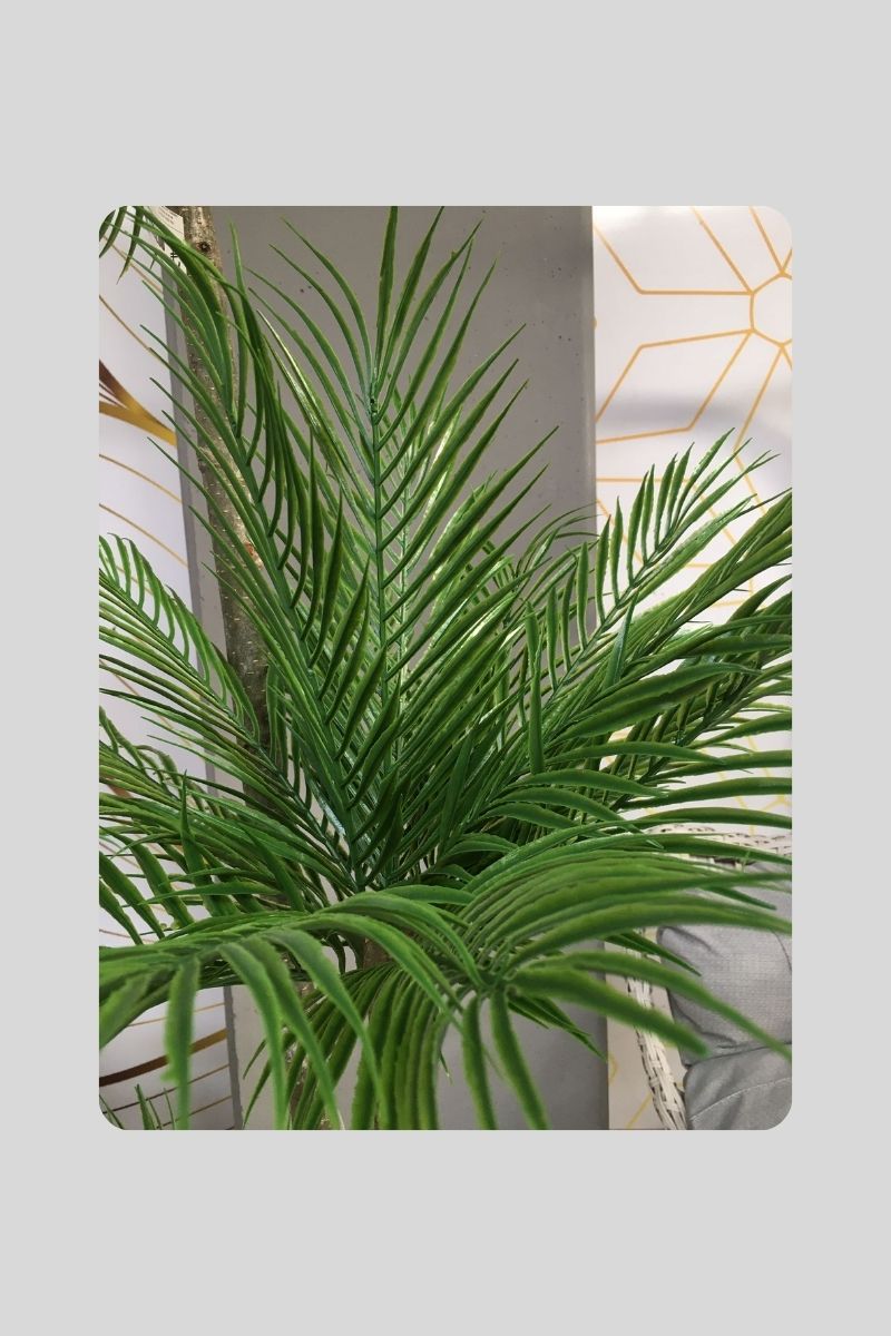 Yapay Areka Ağacı 180 Cm