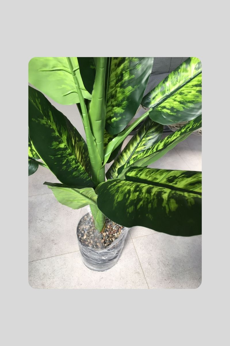 Yapay Difenbahya 150 Cm