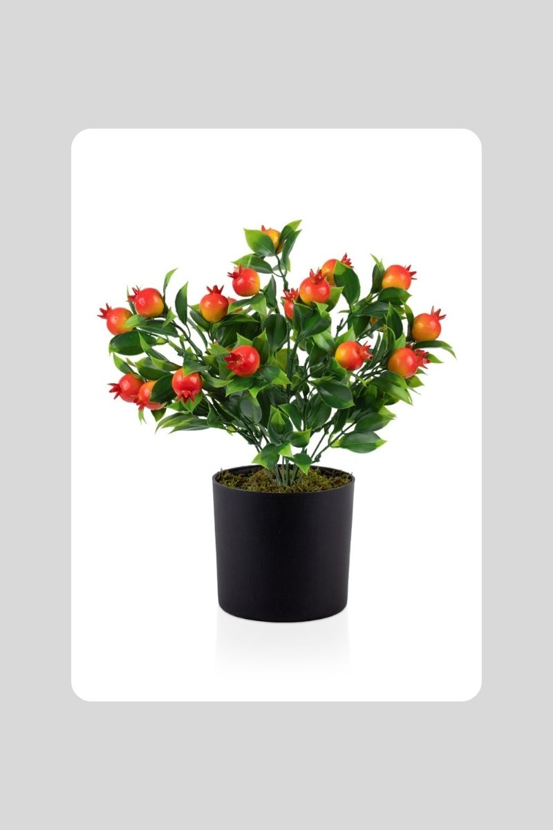 Yapay Saksılı Meyve Ağacı K873-E66-A186-G251