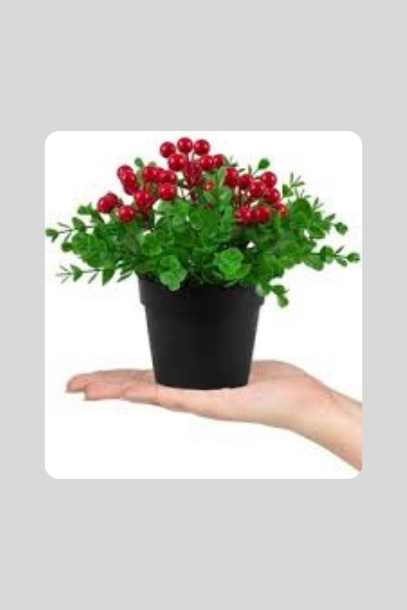 Yapay Saksılı Meyve Ağacı K873-E66-A186-G251